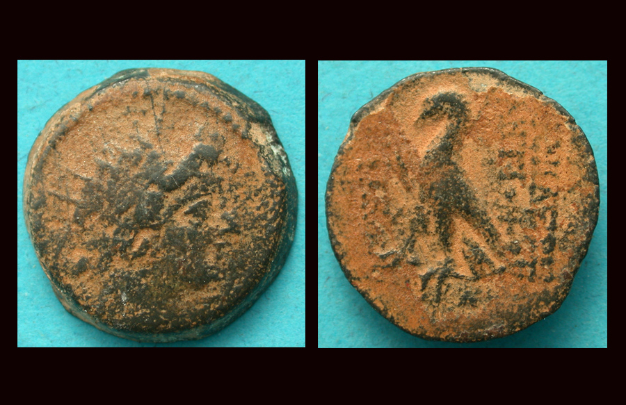 Seleucid, Antiochus VIII, Eagle reverse, c. 113/2 BC, Noble Roman Coins